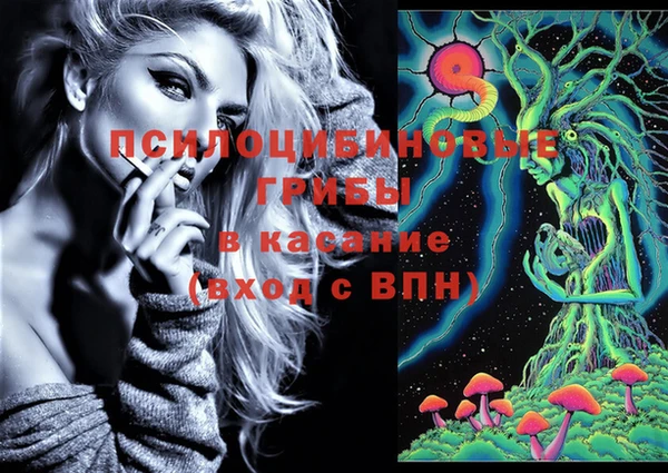 соль ск Алексеевка