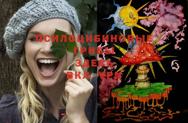 спиды Алексин
